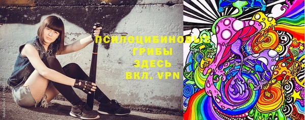 стафф Верея