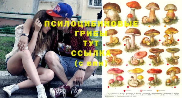 кокаин премиум Верхний Тагил