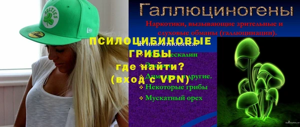 стафф Верея